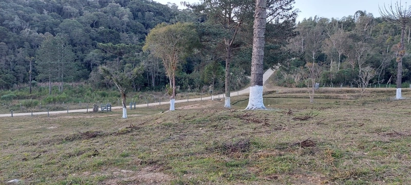 Fazenda Encantadora de 20 Alqueires: Natureza, Conforto e Produção!: 1ª foto da galeria de imagens do imóvel