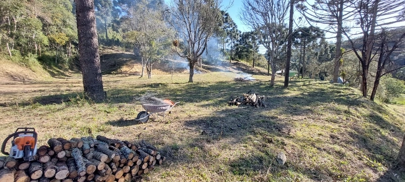 Fazenda Encantadora de 20 Alqueires: Natureza, Conforto e Produção!: 2ª foto da galeria de imagens do imóvel