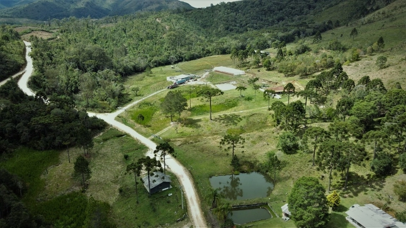 Fazenda Encantadora de 20 Alqueires: Natureza, Conforto e Produção!: 21ª foto da galeria de imagens do imóvel