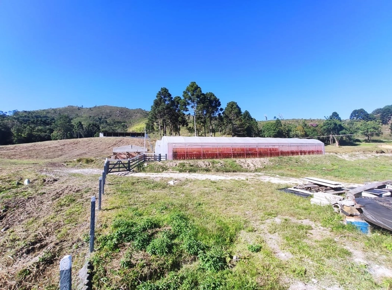 Fazenda Encantadora de 20 Alqueires: Natureza, Conforto e Produção!: 11ª foto da galeria de imagens do imóvel