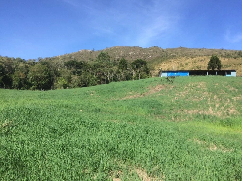 Fazenda Encantadora de 20 Alqueires: Natureza, Conforto e Produção!: 18ª foto da galeria de imagens do imóvel