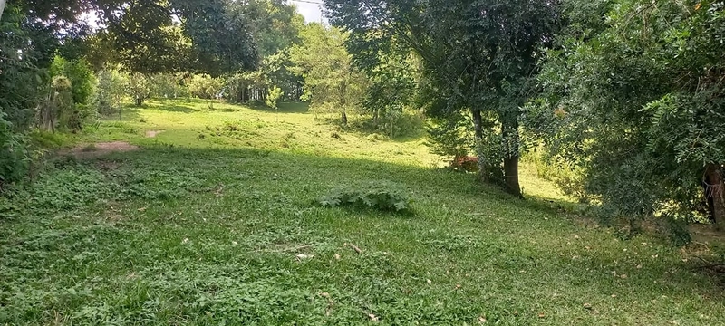 O melhor de dois mundos: o seu paraíso particular com mais de 10.000 m² no coração do Águas Claras em Campo Largo!: 6ª foto da galeria de imagens do imóvel