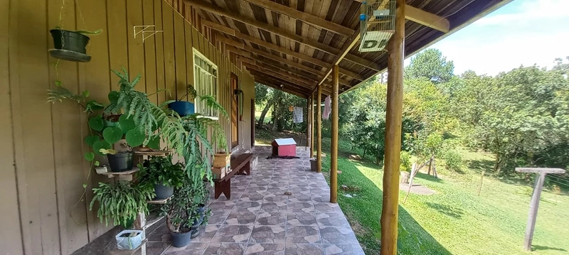 O melhor de dois mundos: o seu paraíso particular com mais de 10.000 m² no coração do Águas Claras em Campo Largo!: 1ª foto da galeria de imagens do imóvel