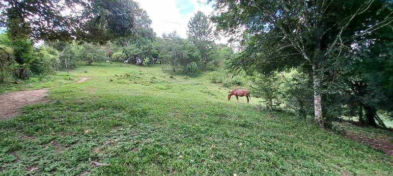 O melhor de dois mundos: o seu paraíso particular com mais de 10.000 m² no coração do Águas Claras em Campo Largo!: 7ª foto da galeria de imagens do imóvel