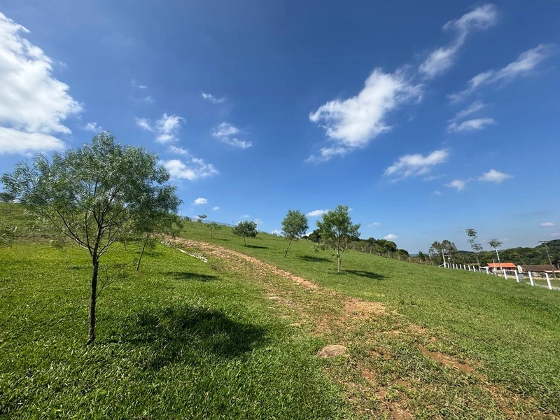 CHÁCARA FRENTE PARA ASFALTO, LINDA VISTA, POMAR, 100% ÁREA ABERTA E APROVEITADA: 25ª foto da galeria de imagens do imóvel