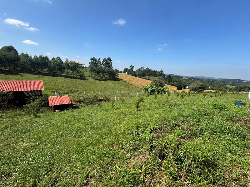 CHÁCARA FRENTE PARA ASFALTO, LINDA VISTA, POMAR, 100% ÁREA ABERTA E APROVEITADA: 56ª foto da galeria de imagens do imóvel