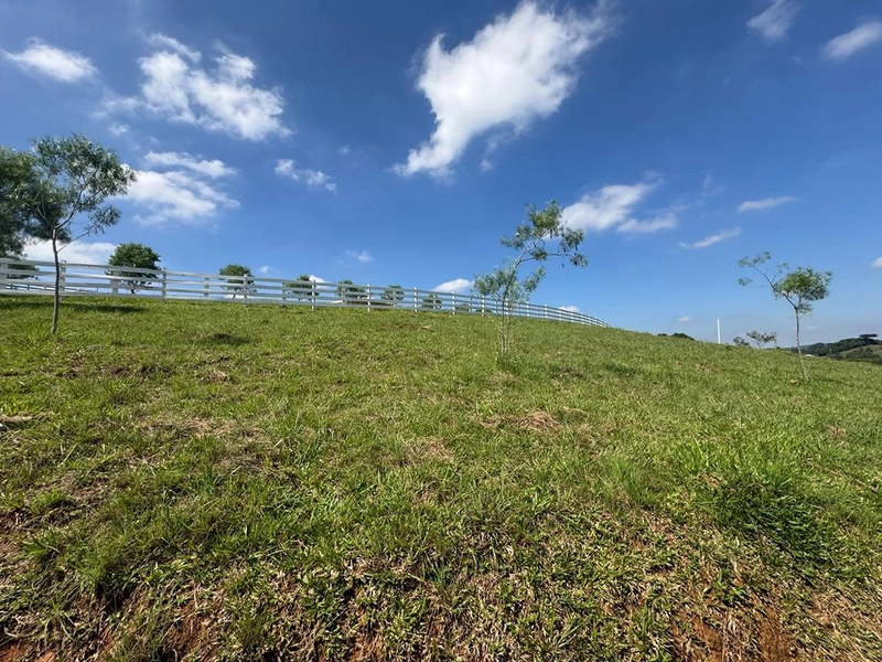 CHÁCARA FRENTE PARA ASFALTO, LINDA VISTA, POMAR, 100% ÁREA ABERTA E APROVEITADA: 14ª foto da galeria de imagens do imóvel