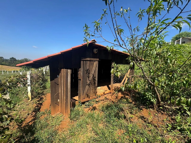 CHÁCARA FRENTE PARA ASFALTO, LINDA VISTA, POMAR, 100% ÁREA ABERTA E APROVEITADA: 50ª foto da galeria de imagens do imóvel