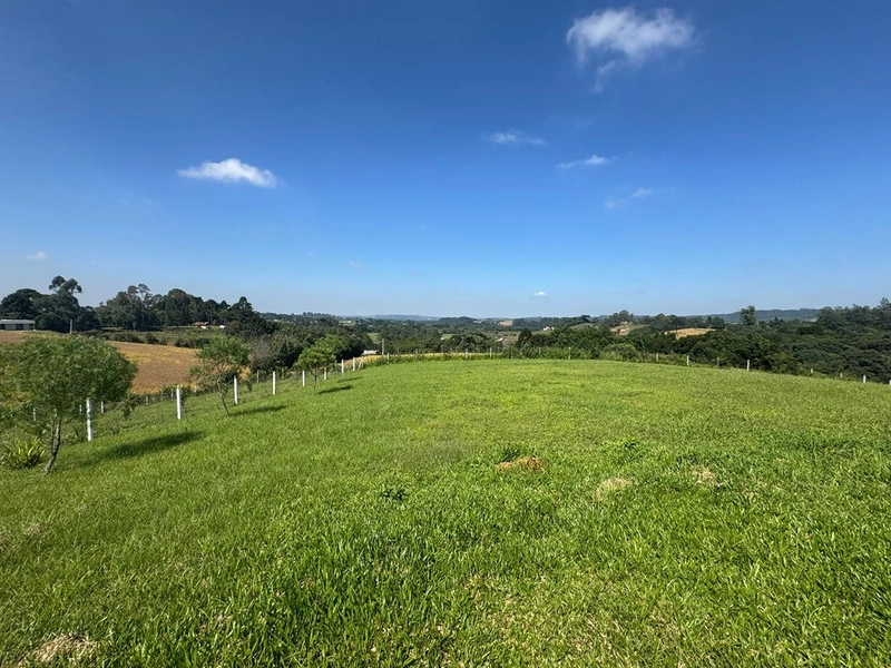 CHÁCARA FRENTE PARA ASFALTO, LINDA VISTA, POMAR, 100% ÁREA ABERTA E APROVEITADA: 6ª foto da galeria de imagens do imóvel
