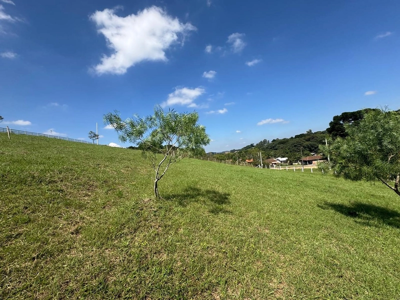 CHÁCARA FRENTE PARA ASFALTO, LINDA VISTA, POMAR, 100% ÁREA ABERTA E APROVEITADA: 27ª foto da galeria de imagens do imóvel