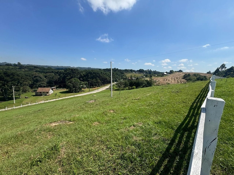 CHÁCARA FRENTE PARA ASFALTO, LINDA VISTA, POMAR, 100% ÁREA ABERTA E APROVEITADA: 65ª foto da galeria de imagens do imóvel