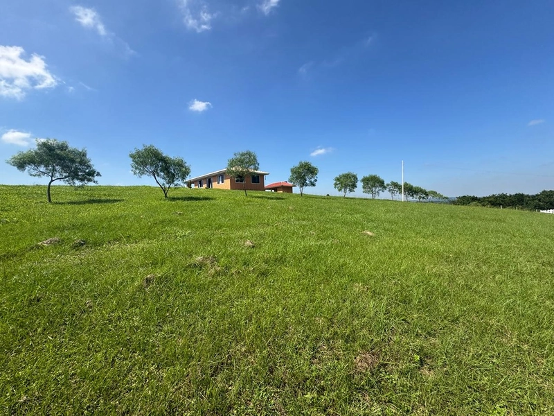 CHÁCARA FRENTE PARA ASFALTO, LINDA VISTA, POMAR, 100% ÁREA ABERTA E APROVEITADA: 9ª foto da galeria de imagens do imóvel