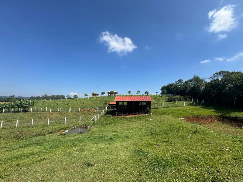 CHÁCARA FRENTE PARA ASFALTO, LINDA VISTA, POMAR, 100% ÁREA ABERTA E APROVEITADA: 48ª foto da galeria de imagens do imóvel