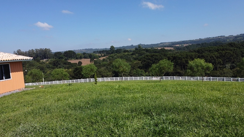 CHÁCARA FRENTE PARA ASFALTO, LINDA VISTA, POMAR, 100% ÁREA ABERTA E APROVEITADA: 64ª foto da galeria de imagens do imóvel