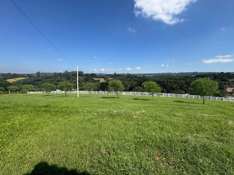 CHÁCARA FRENTE PARA ASFALTO, LINDA VISTA, POMAR, 100% ÁREA ABERTA E APROVEITADA: 19ª foto da galeria de imagens do imóvel