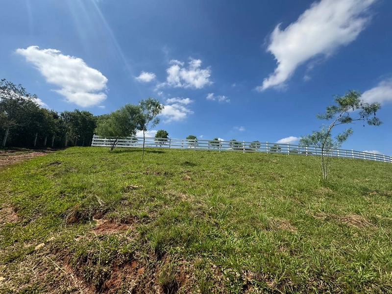 CHÁCARA FRENTE PARA ASFALTO, LINDA VISTA, POMAR, 100% ÁREA ABERTA E APROVEITADA: 43ª foto da galeria de imagens do imóvel