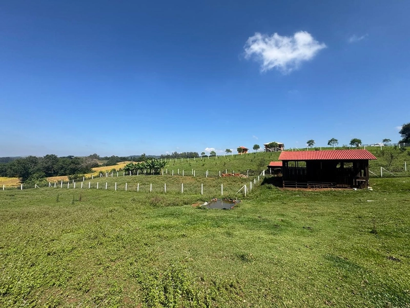 CHÁCARA FRENTE PARA ASFALTO, LINDA VISTA, POMAR, 100% ÁREA ABERTA E APROVEITADA: 13ª foto da galeria de imagens do imóvel