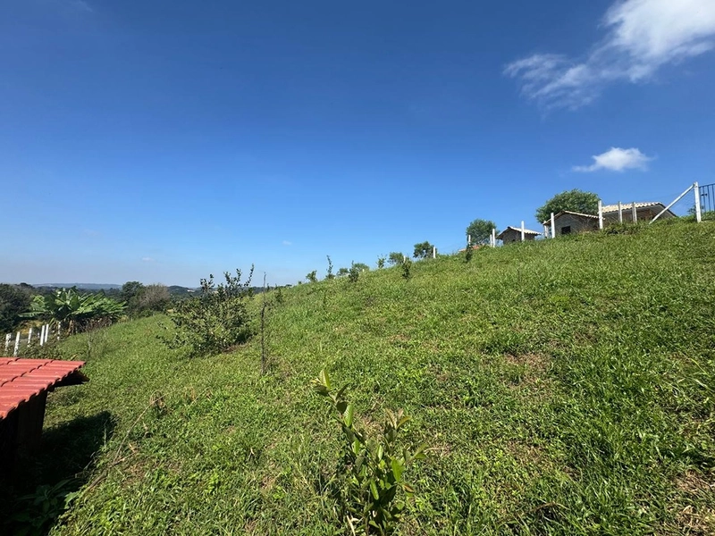 CHÁCARA FRENTE PARA ASFALTO, LINDA VISTA, POMAR, 100% ÁREA ABERTA E APROVEITADA: 53ª foto da galeria de imagens do imóvel
