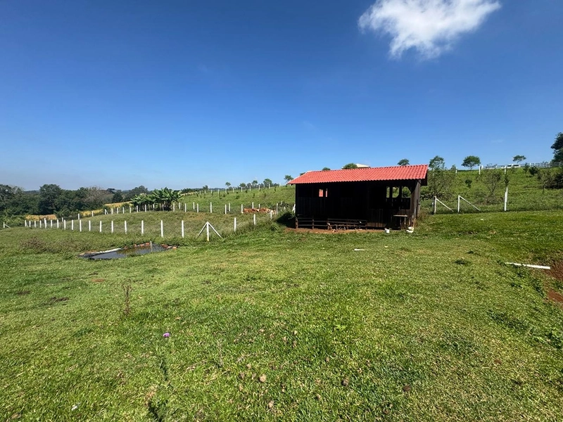 CHÁCARA FRENTE PARA ASFALTO, LINDA VISTA, POMAR, 100% ÁREA ABERTA E APROVEITADA: 49ª foto da galeria de imagens do imóvel