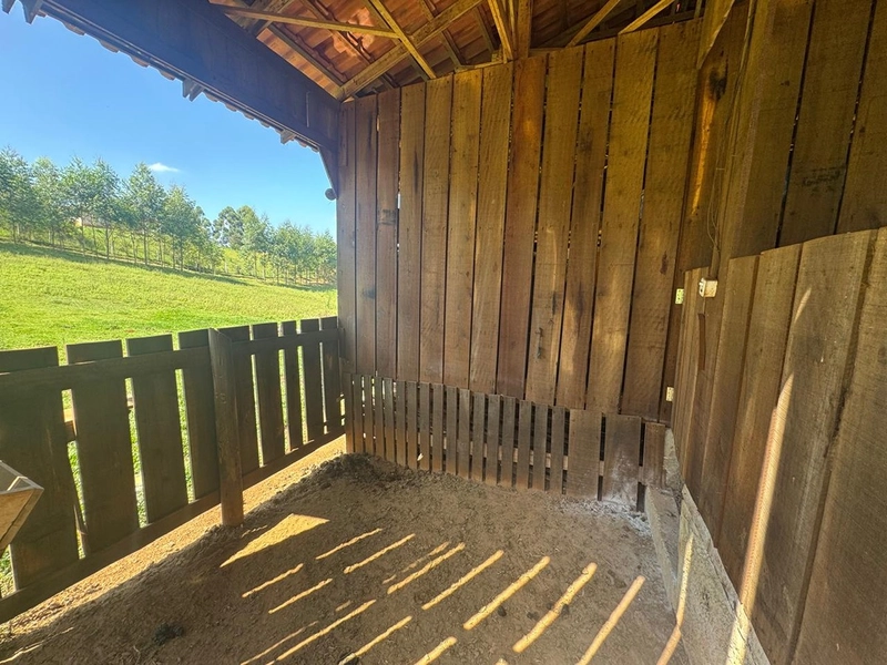 CHÁCARA FRENTE PARA ASFALTO, LINDA VISTA, POMAR, 100% ÁREA ABERTA E APROVEITADA: 18ª foto da galeria de imagens do imóvel