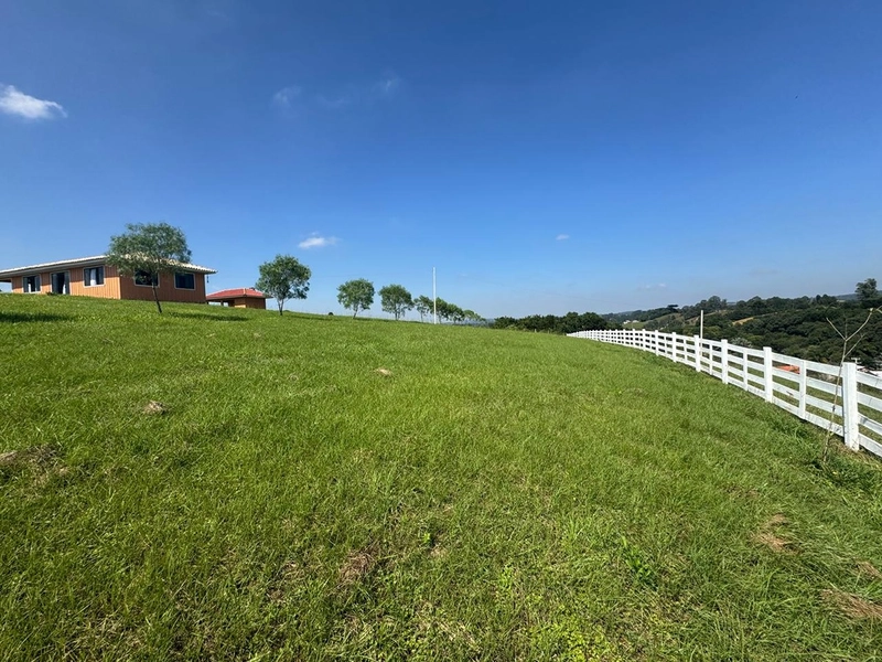 CHÁCARA FRENTE PARA ASFALTO, LINDA VISTA, POMAR, 100% ÁREA ABERTA E APROVEITADA: 61ª foto da galeria de imagens do imóvel