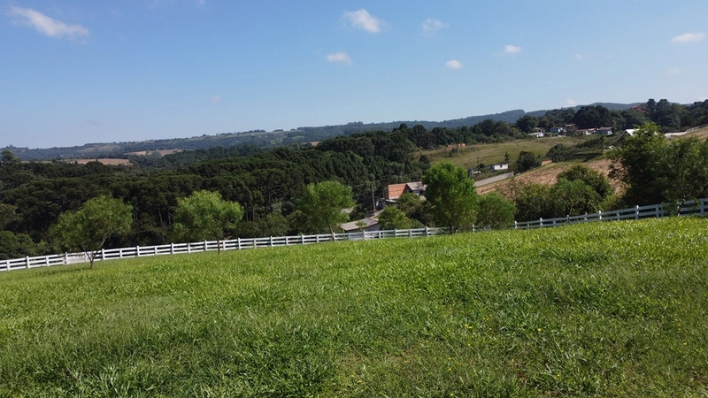 CHÁCARA FRENTE PARA ASFALTO, LINDA VISTA, POMAR, 100% ÁREA ABERTA E APROVEITADA: 66ª foto da galeria de imagens do imóvel