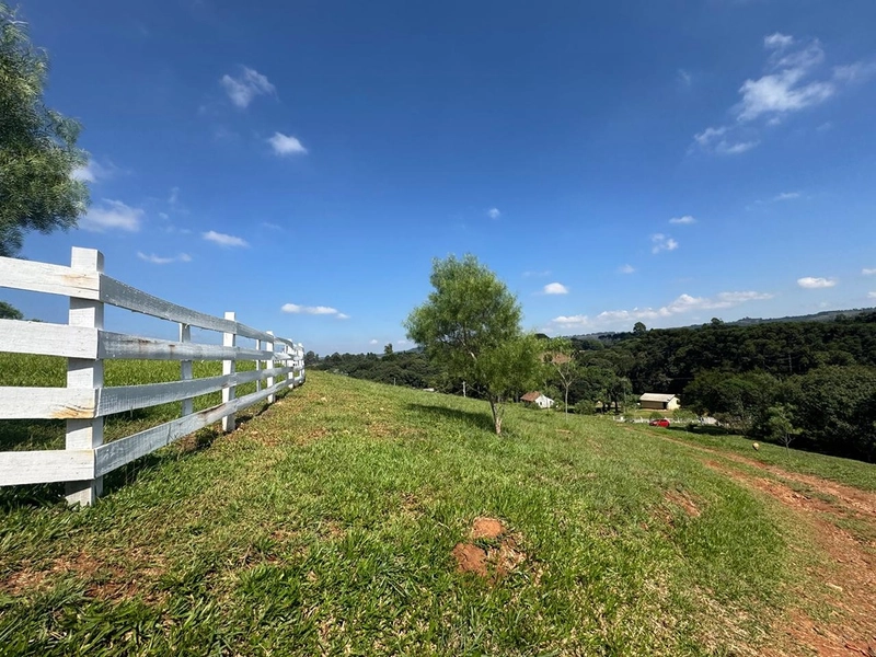 CHÁCARA FRENTE PARA ASFALTO, LINDA VISTA, POMAR, 100% ÁREA ABERTA E APROVEITADA: 33ª foto da galeria de imagens do imóvel