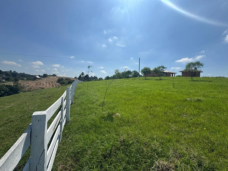 CHÁCARA FRENTE PARA ASFALTO, LINDA VISTA, POMAR, 100% ÁREA ABERTA E APROVEITADA: 5ª foto da galeria de imagens do imóvel