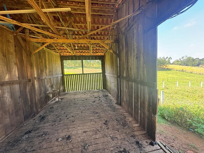 CHÁCARA FRENTE PARA ASFALTO, LINDA VISTA, POMAR, 100% ÁREA ABERTA E APROVEITADA: 17ª foto da galeria de imagens do imóvel