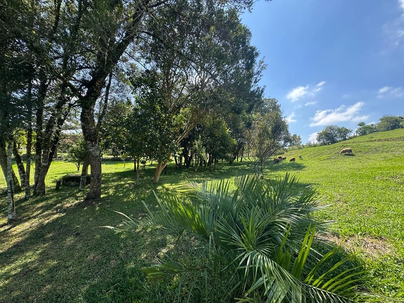 CHÁCARA FRENTE PARA ASFALTO, LINDA VISTA, POMAR, 100% ÁREA ABERTA E APROVEITADA: 23ª foto da galeria de imagens do imóvel