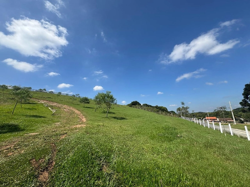 CHÁCARA FRENTE PARA ASFALTO, LINDA VISTA, POMAR, 100% ÁREA ABERTA E APROVEITADA: 20ª foto da galeria de imagens do imóvel