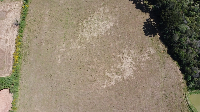 TERRENO PARA FORMAÇÃO DE CHÁCARA PRÓXIMO AO CENTRO DE ARAUCÁRIA: 32ª foto da galeria de imagens do imóvel