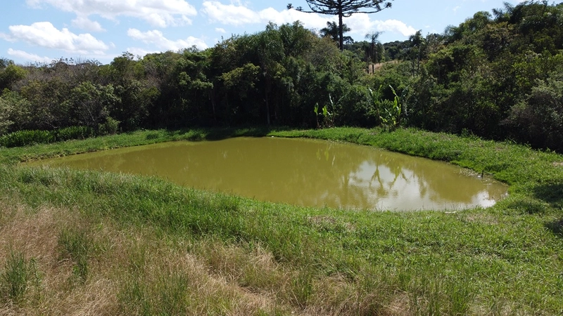 TERRENO PARA FORMAÇÃO DE CHÁCARA PRÓXIMO AO CENTRO DE ARAUCÁRIA: 15ª foto da galeria de imagens do imóvel