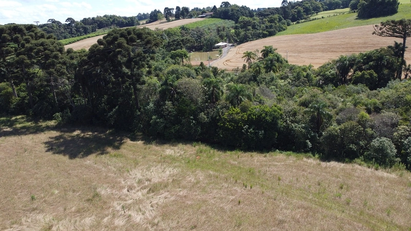 TERRENO PARA FORMAÇÃO DE CHÁCARA PRÓXIMO AO CENTRO DE ARAUCÁRIA: 26ª foto da galeria de imagens do imóvel