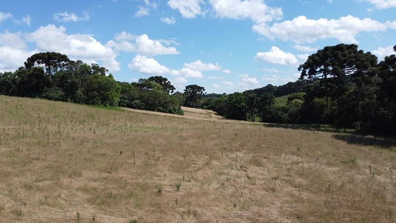 TERRENO PARA FORMAÇÃO DE CHÁCARA PRÓXIMO AO CENTRO DE ARAUCÁRIA: 23ª foto da galeria de imagens do imóvel