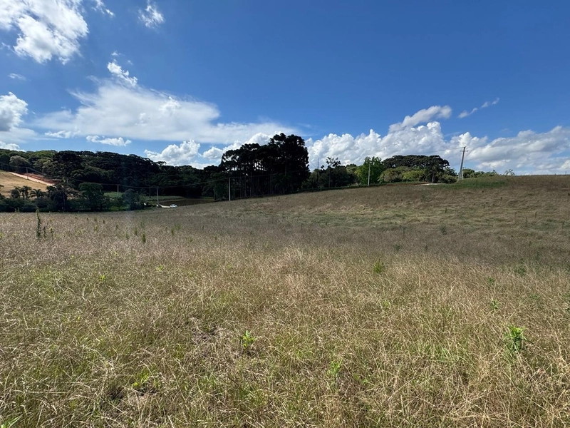 TERRENO PARA FORMAÇÃO DE CHÁCARA PRÓXIMO AO CENTRO DE ARAUCÁRIA: 46ª foto da galeria de imagens do imóvel
