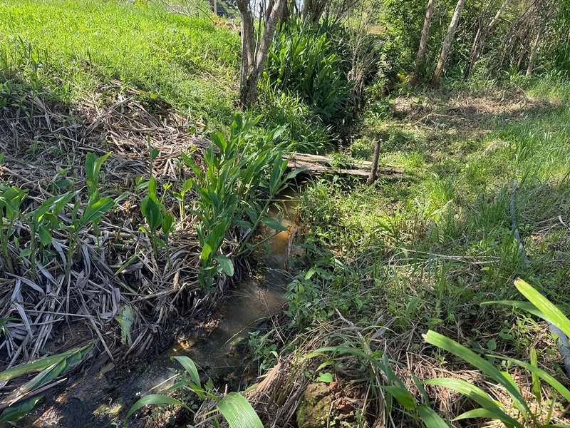 TERRENO PARA FORMAÇÃO DE CHÁCARA PRÓXIMO AO CENTRO DE ARAUCÁRIA: 8ª foto da galeria de imagens do imóvel