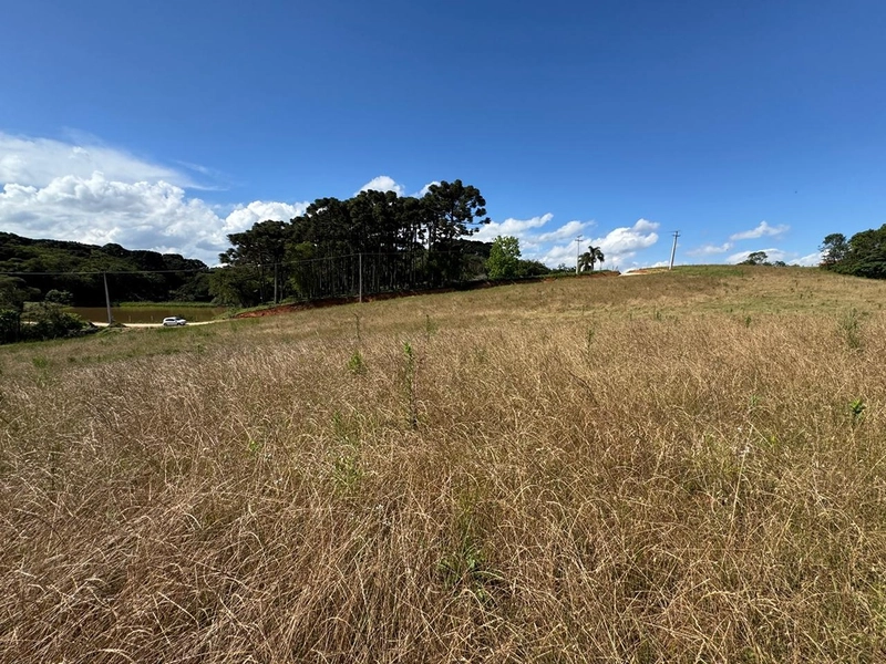 TERRENO PARA FORMAÇÃO DE CHÁCARA PRÓXIMO AO CENTRO DE ARAUCÁRIA: 43ª foto da galeria de imagens do imóvel