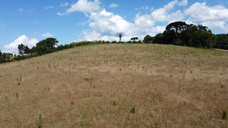 TERRENO PARA FORMAÇÃO DE CHÁCARA PRÓXIMO AO CENTRO DE ARAUCÁRIA: 21ª foto da galeria de imagens do imóvel