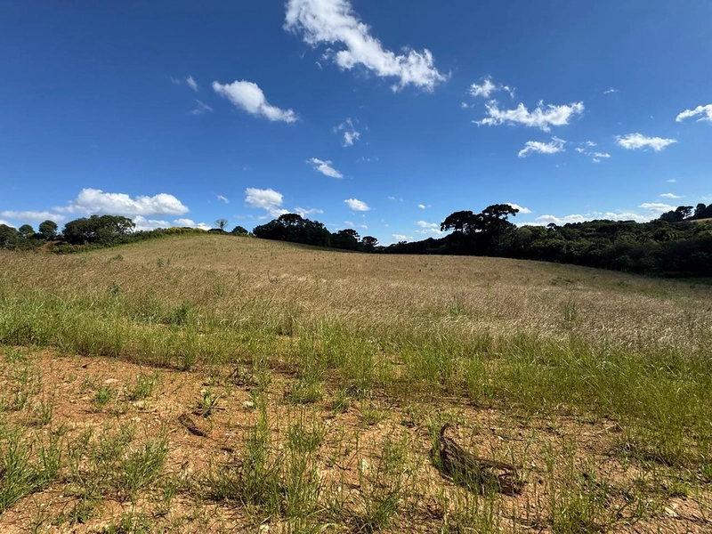 TERRENO PARA FORMAÇÃO DE CHÁCARA PRÓXIMO AO CENTRO DE ARAUCÁRIA: 5ª foto da galeria de imagens do imóvel