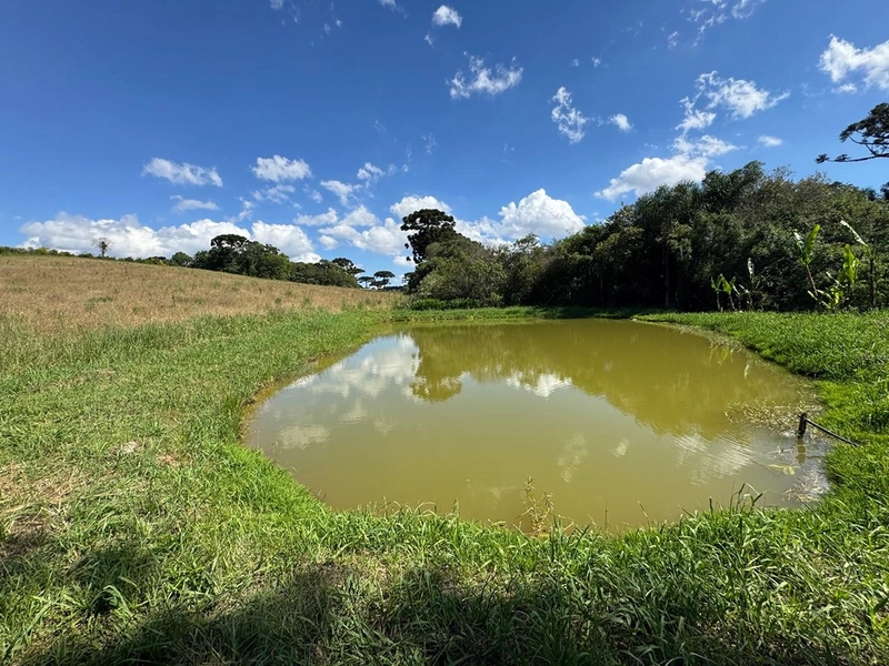 TERRENO PARA FORMAÇÃO DE CHÁCARA PRÓXIMO AO CENTRO DE ARAUCÁRIA: 2ª foto da galeria de imagens do imóvel