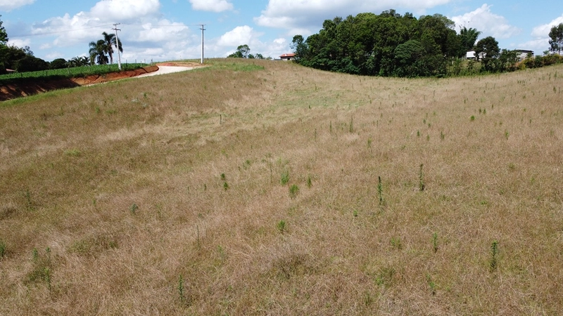TERRENO PARA FORMAÇÃO DE CHÁCARA PRÓXIMO AO CENTRO DE ARAUCÁRIA: 19ª foto da galeria de imagens do imóvel