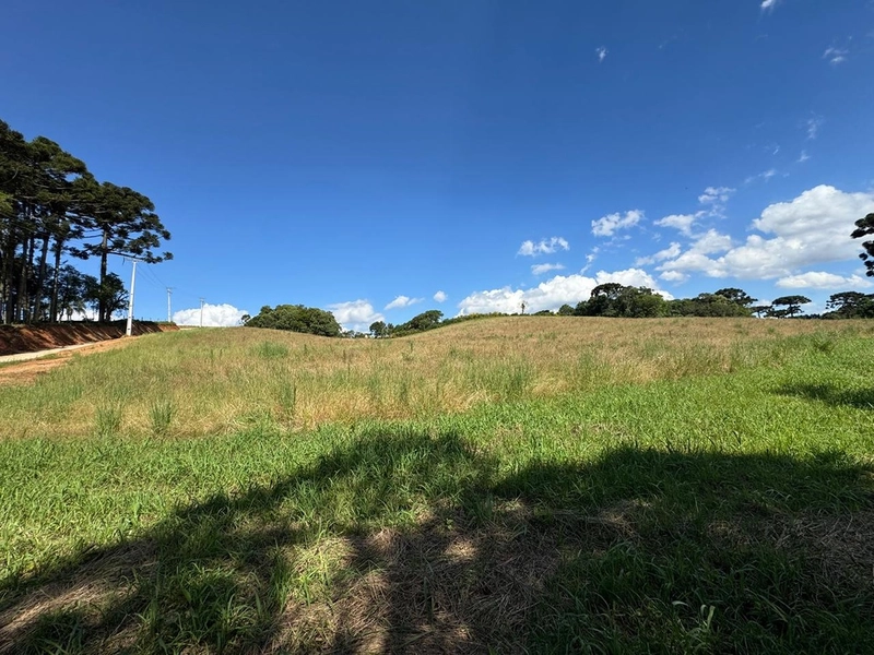 TERRENO PARA FORMAÇÃO DE CHÁCARA PRÓXIMO AO CENTRO DE ARAUCÁRIA: 39ª foto da galeria de imagens do imóvel