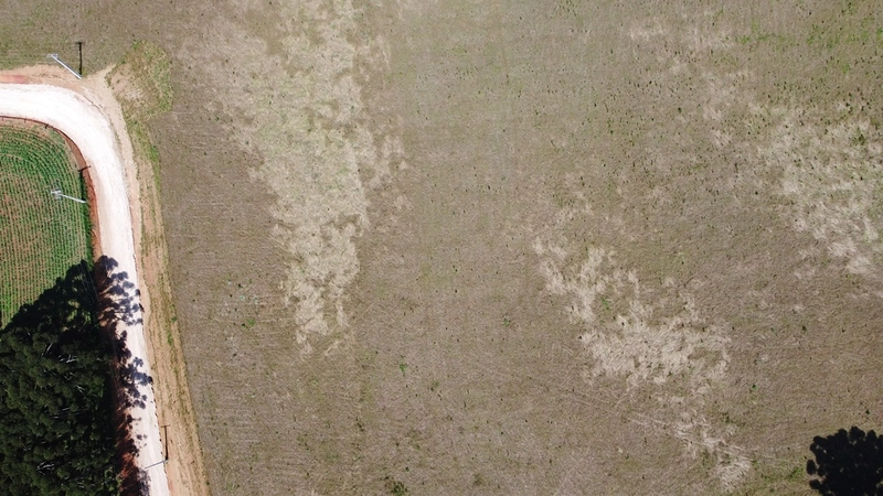 TERRENO PARA FORMAÇÃO DE CHÁCARA PRÓXIMO AO CENTRO DE ARAUCÁRIA: 30ª foto da galeria de imagens do imóvel