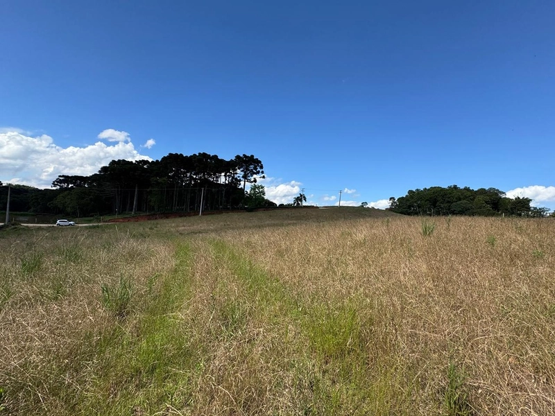 TERRENO PARA FORMAÇÃO DE CHÁCARA PRÓXIMO AO CENTRO DE ARAUCÁRIA: 10ª foto da galeria de imagens do imóvel