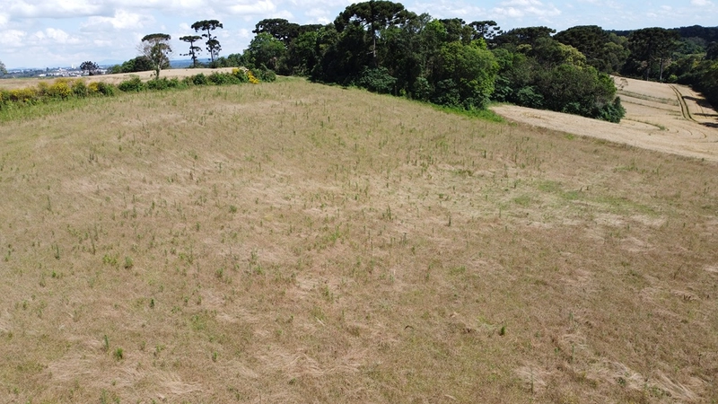 TERRENO PARA FORMAÇÃO DE CHÁCARA PRÓXIMO AO CENTRO DE ARAUCÁRIA: 25ª foto da galeria de imagens do imóvel