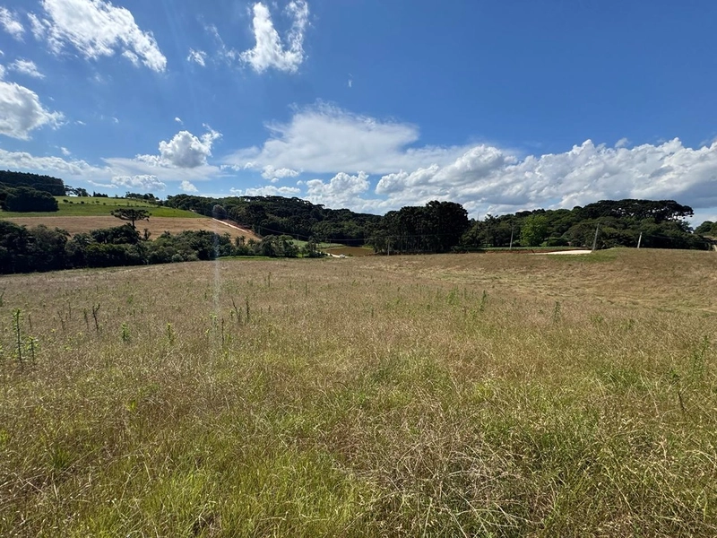 TERRENO PARA FORMAÇÃO DE CHÁCARA PRÓXIMO AO CENTRO DE ARAUCÁRIA: 12ª foto da galeria de imagens do imóvel