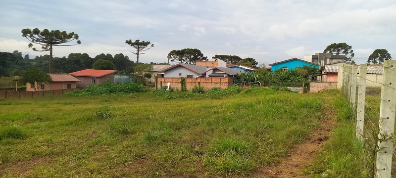 Terrenos Residenciais à Venda em Campo Largo!: 8ª foto da galeria de imagens do imóvel