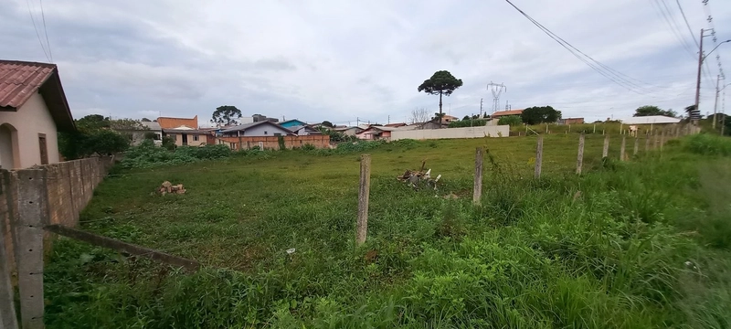 Terrenos Residenciais à Venda em Campo Largo!: 6ª foto da galeria de imagens do imóvel