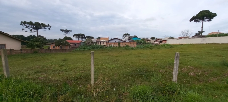 Terrenos Residenciais à Venda em Campo Largo!: 5ª foto da galeria de imagens do imóvel